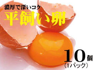 平飼い卵10個★飼料に抗生物質・遺伝子組み換え穀物不使用★放射線検査済★内閣総理大臣賞受賞農場・信州・たまご山ランド＊卵の入荷は月・金となり即日発送となります。