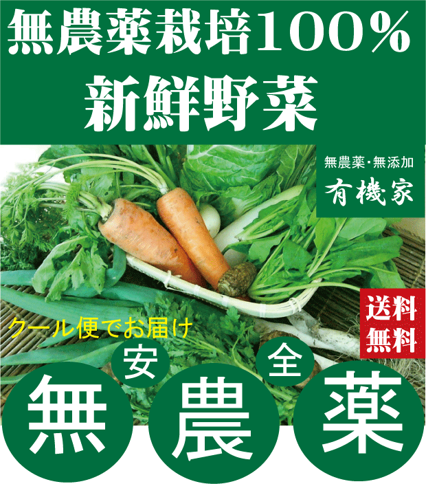 無農薬100％・旬の新鮮野菜セット 約7品目 送料無料・月 金曜日発送 ★有機家の長年の人気野菜セット★卵同梱セットや牛乳同梱セットも有ります 