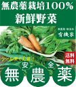 旬の無農薬100％野菜セット4024円（送料無料・月、金曜日