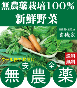 無農薬100%・旬の新鮮野菜セット(約10品目)(送料無料・月、水、金曜日発送)★有機家の長年の人気野菜セット★卵同梱セットや牛乳同梱セットも有ります。