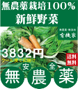 旬の無農薬100％野菜セット3832円（送料無料・月、金曜日