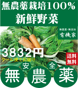 旬の無農薬100％野菜セット3832円（送料無料・月、金曜日発送）★有機家の長年の人気野菜セット★卵同梱セットや牛乳同梱セットも有ります。