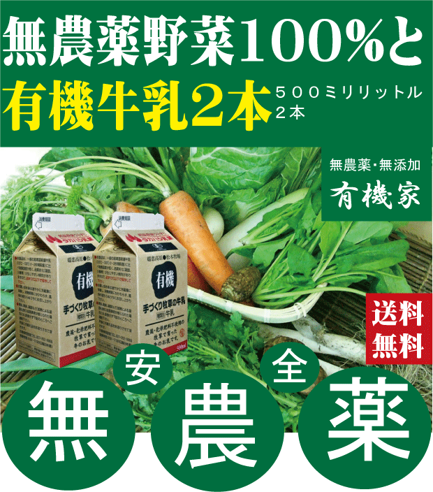 旬の無農薬100％野菜セットと「有機牛乳」500ミリリットル【2本】★（送料無料・月、金曜日発送）★有機家の長年の人気…