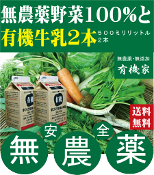 旬の無農薬100％野菜セットと「有機牛乳」500ミリリットル【2本】★（送料無料・月、金曜日発送）★有機家の長年の人気野菜セット★クール冷蔵便配送★送料無料