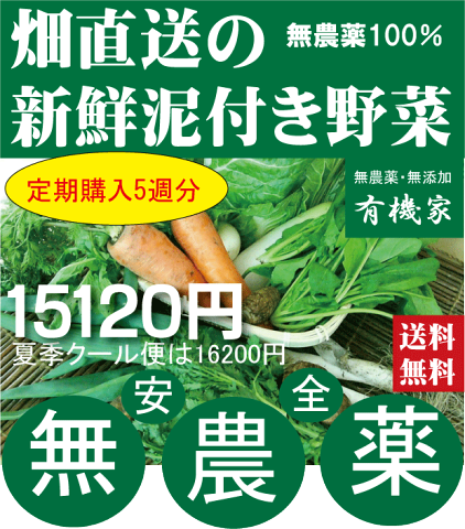 定期購入毎週お届け・旬の無農薬100％野菜セッ3024円セット×5週分（送料無料・月、金曜日発送）★送料無料★無農薬野菜