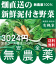 旬の無農薬100%野菜セット3024円(送料無料・月、金曜日発送)5月より冷蔵便になります。★有機家の長年の人気野菜セット★卵同梱セットや牛乳同梱セットも有ります。