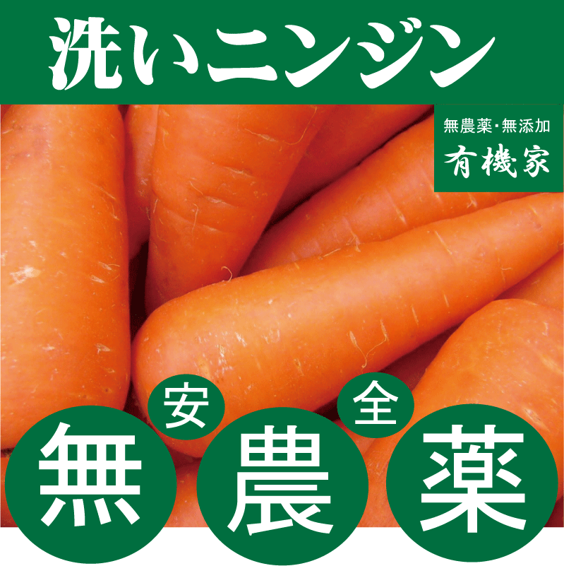 無農薬人参　洗いニンジン500g×1パック★無農薬・無添加★千葉県産のサムネイル