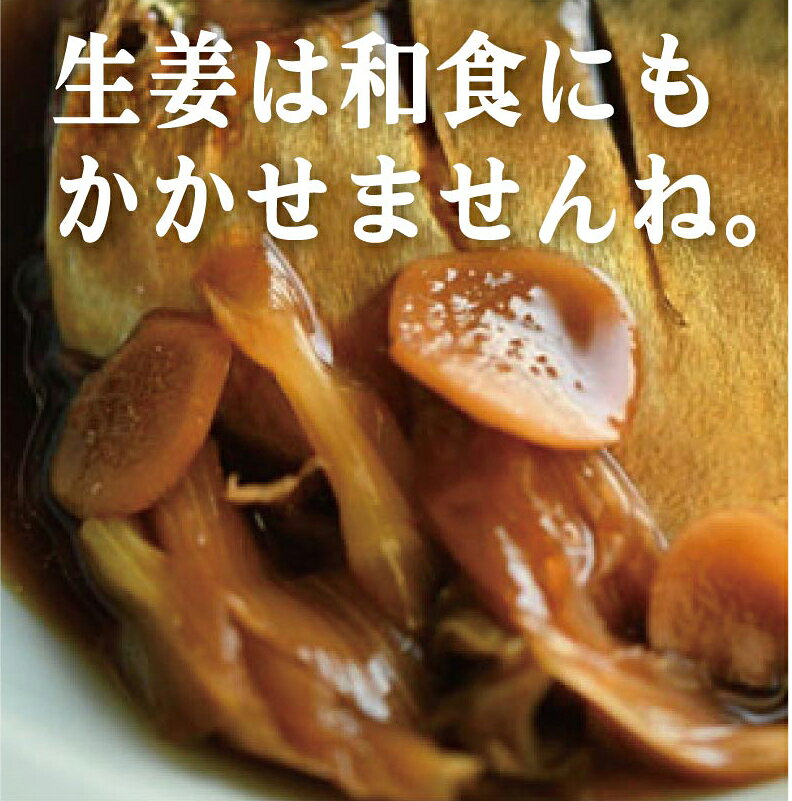 無農薬しょうが100g×1袋★神奈川県産★（無農薬・無添加）★無農薬生姜