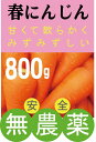 無農薬 春にんじん(泥付き)800g甘く、みずみずしい。九州有機栽培農園葉は付いていません。アクの少ないフレッシュな春堀のにんじん