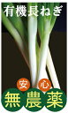 冷凍食品 Delcy 国産小口切り白ねぎ 100g ねぎ 冷凍野菜 冷凍 冷凍ねぎ 野菜 ネギ 葱 カット野菜 カット カット済 食材 食品 おかず お弁当 簡単 手軽 時短 便利 調理 付け合せ 美味しい 人気