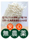 無農薬ホワイトえのき200gパック★無農薬・無化学肥料・消毒薬不使用★長野県産 1