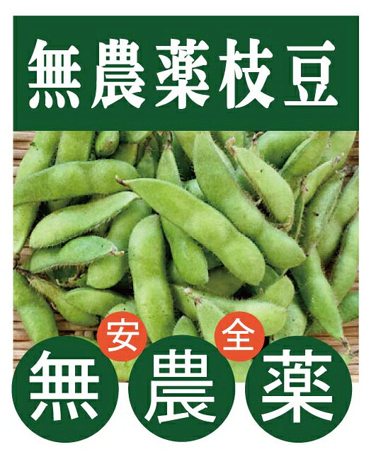 野瀬さんの無農薬枝豆200gパック★山梨県産★無農薬・無添加