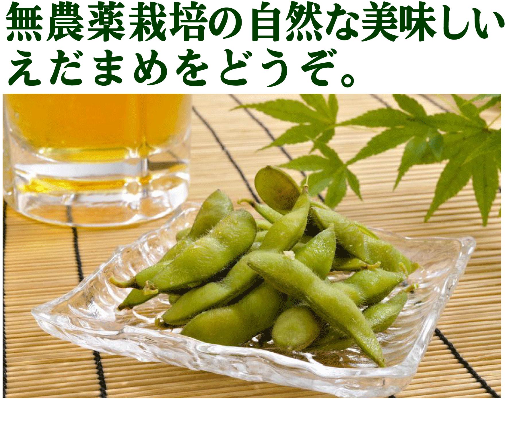 野瀬さんの無農薬枝豆200gパック★山梨県産★無農薬・無添加