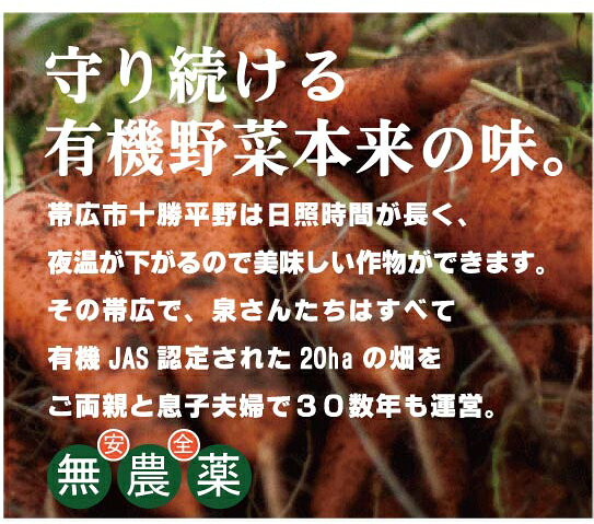 有機にんじん★ニンジン（洗い）1kg★千葉産★有機栽培・無添加★有機JAS yuukiya0097-10011007 有機家 サンプル画像2