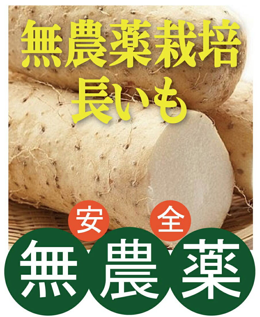 無農薬長芋 300g×2パック ★無農薬・無添加★青森県つがる市産