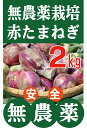 無農薬たまねぎ 赤玉ねぎ2kg★無農薬・無添加★和歌山県産