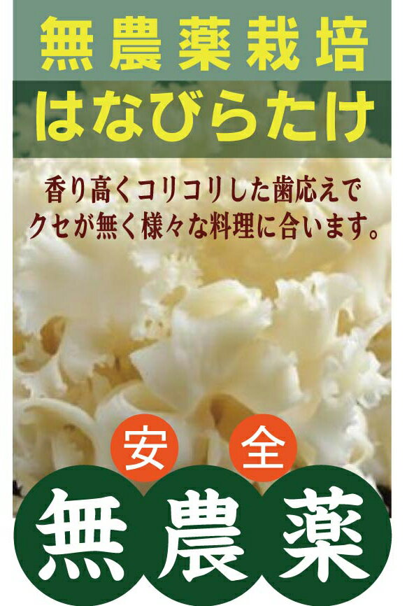 無農薬はなびらたけ 80g×2パック★βグルカンの研究で注