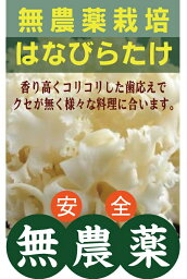 無農薬はなびらたけ 80g×2パック★βグルカンの研究で注目株★無農薬・無添加・消毒薬不使用★長野県飯田市産