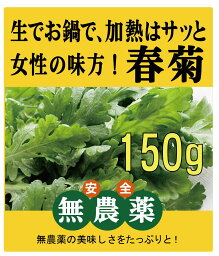 無農薬春菊1パック（約 150g）★無農薬・無添加★千葉県産