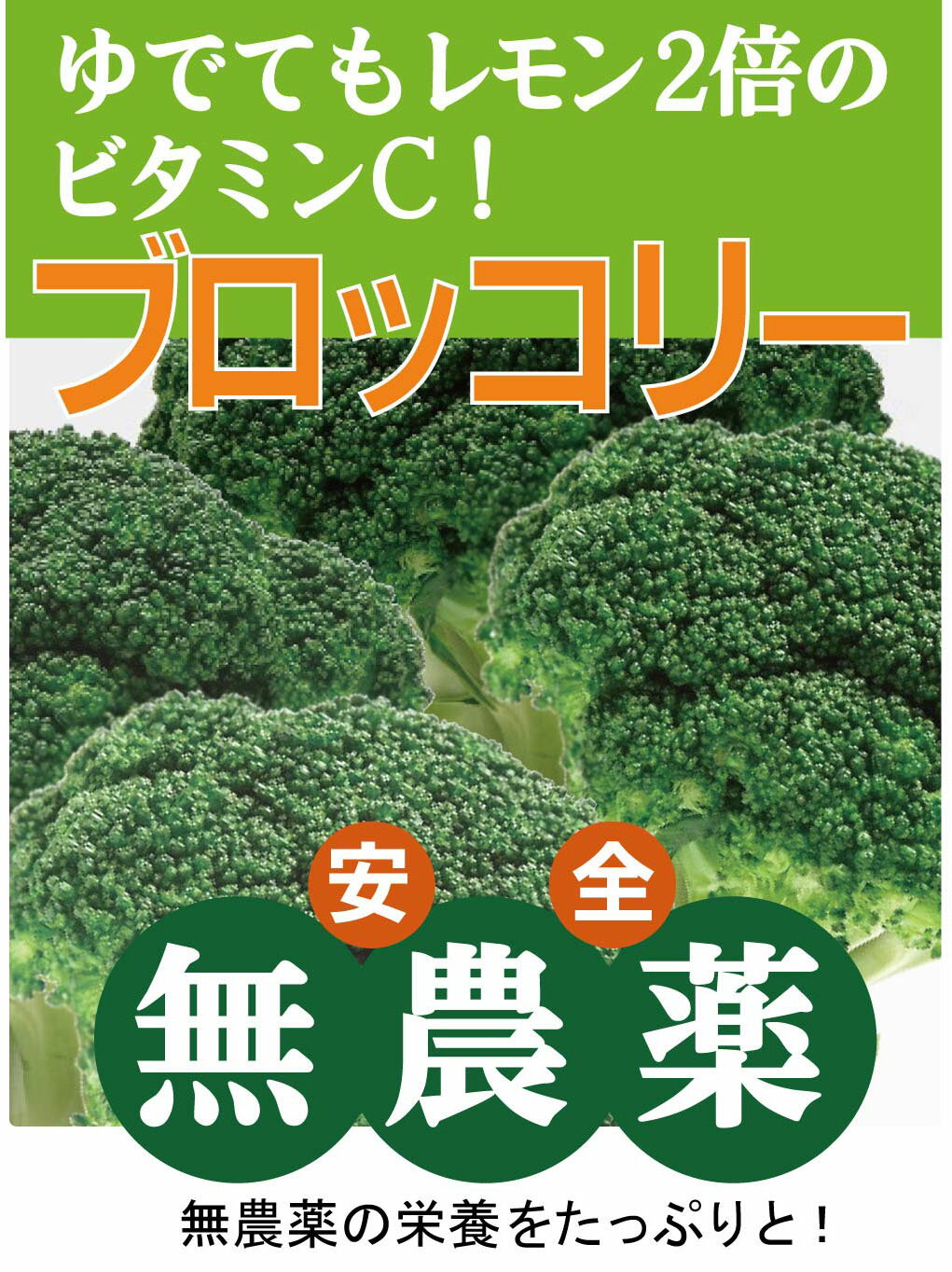 無農薬栽培　ブロッコリーの葉　コンパクトBOX