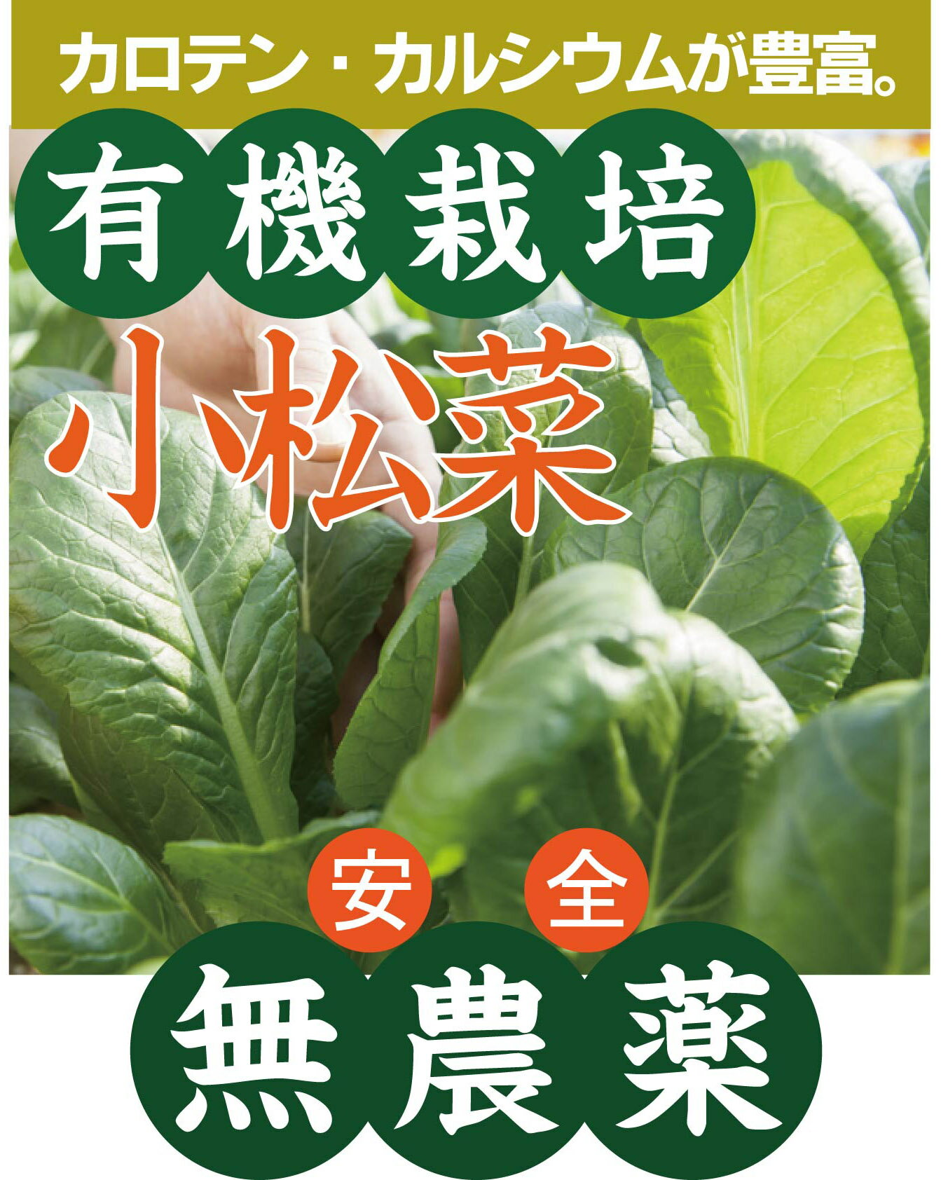 有機小松菜200g×2パック★有機JAS(無農薬・無添加)★島根県産