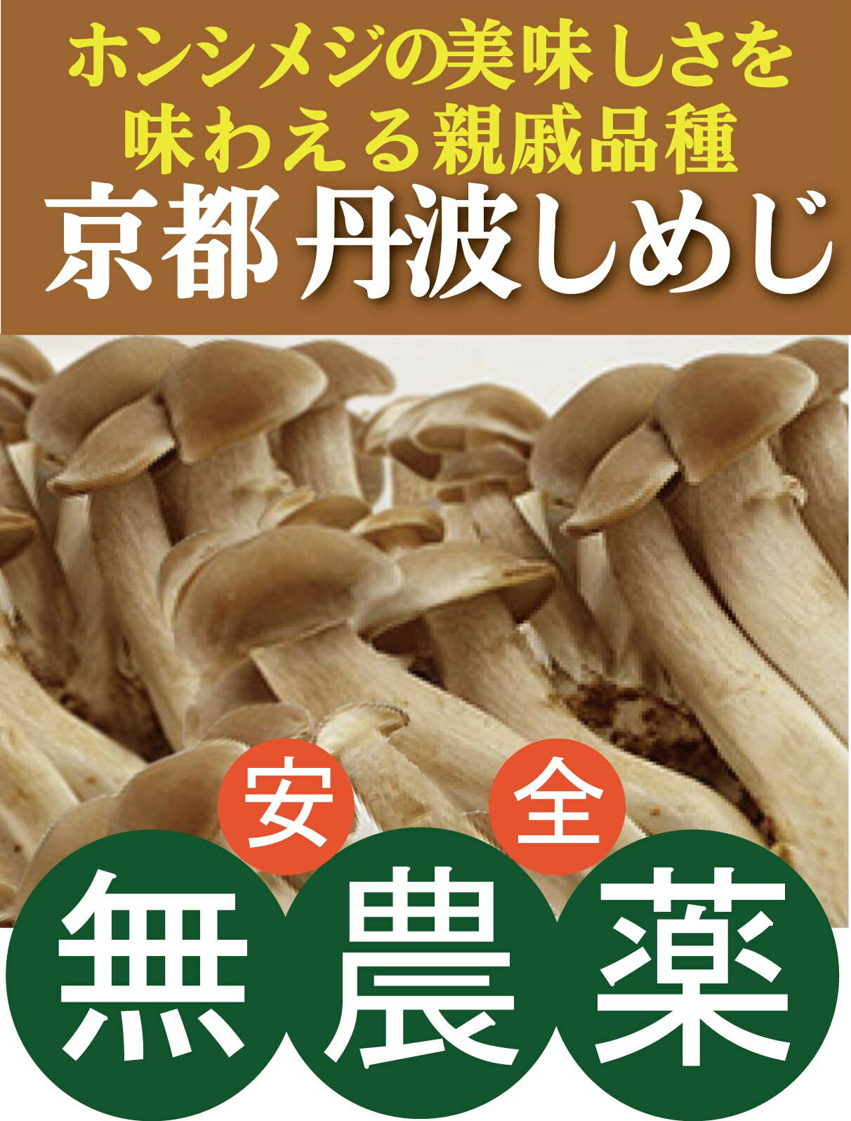 無農薬しめじ 丹波しめじ 90g×2パック★京都府産（無農薬・無添加）★品種：シメジ属血筋も味わいもホンシメジ。