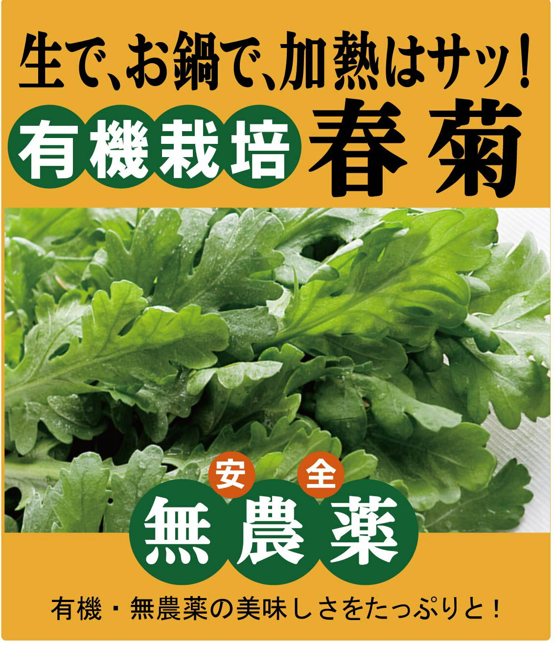 有機春菊1パック(約 130g)★有機JAS(無農薬・無添加)★山梨県産