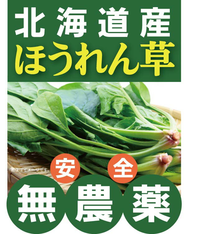 乾燥 ほうれん草 50g AD製法 契約栽培 [02] NICHIGA(ニチガ)