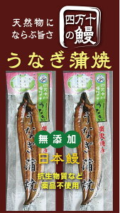 四万十の鰻　うなぎ蒲焼（1尾：約130g）×2パック＜冷凍品＞★天然物にならぶ美味しさ「加持さんのうなぎ」★抗生物質など薬不使用★無添加（化学調味料・着色料など一切使用）