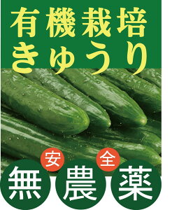 有機きゅうり3本★有機JAS認証（無農薬・無添加）★山梨県産