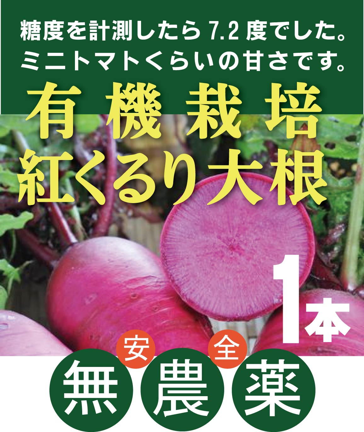 有機大根　紅くるり大根1本パック（葉切り）★野菜の発送は1月9日以降になります★有機JAS認証★香川県産のサムネイル