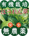 有機ほうれん草200g×1パック★有機JAS（無農薬栽培・無添加）産地：島根県、千葉県産