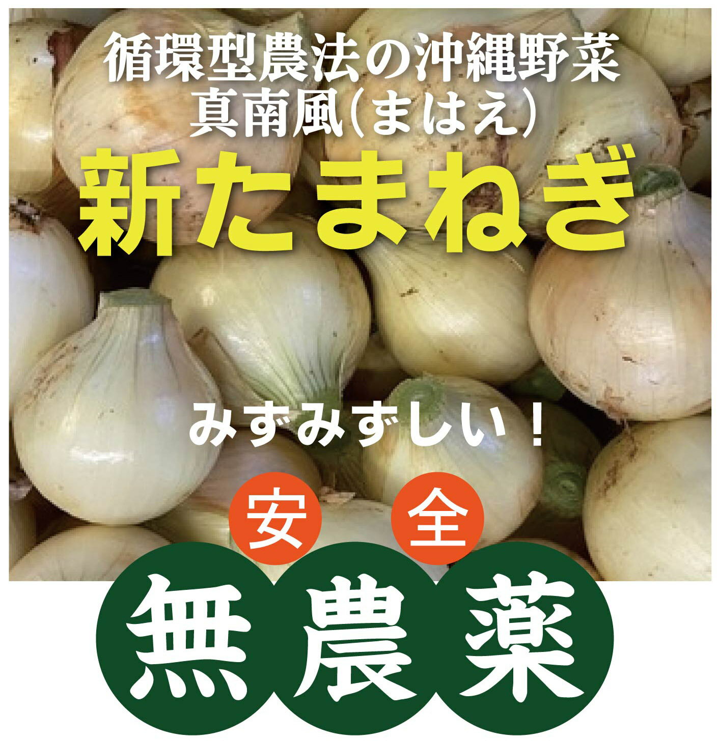 有機 新玉ねぎ1kg★無農薬・無添加★沖縄県産★農薬一切不使用、沖縄だからできる、この時期の旬・新玉ねぎのサムネイル