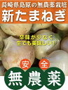 ◎生産者：長有研（長崎県南島原市）★農薬0回・化肥0回 ★品種：極早生の「スーパーアップ」 3月の新玉ねぎは辛みが少なく甘みが目立ち、生で食べても美味しいです。その後徐々に熟し、4月の終盤に入ると茶色い皮が目立つようになり、同時に辛みとうま味が増し、より加熱料理に向く玉ねぎになっていきます。薄くスライスしてツナ缶と混ぜるだけで血液サラサラ、簡単玉ねぎサラダのできあがり。パンに挟んでも最高のメニューです。少々の辛みも苦手な方は一度水にさらしてくださいね。 品種は極早生の「スーパーアップ」。苦みが無く生食でも全然辛くありません。この時期だけのフレッシュな玉ねぎ。サラダでどうぞ。 [ 保存方法 ] 新たまねぎ（白タマネギ）は水分が多く、痛みやすいので袋に入れ冷蔵庫の野菜室に入れるか、風通しの良い涼しいところにおいておきましょう。お野菜の発送は月曜日と金曜日のみとなりますのでご了承ください。