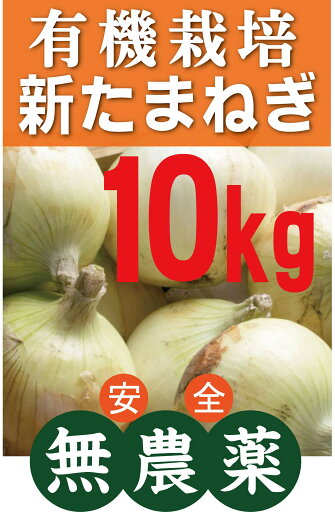無農薬 新玉ねぎ10kg★(無農薬・無添加)★長崎県南島原市産 無農薬 新玉ねぎ10kg★(無農薬・無添加)★長崎県南島原市産