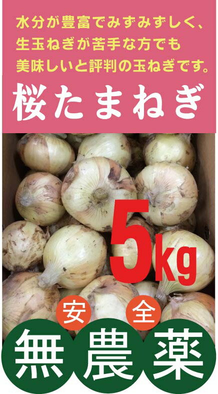 無農薬玉ねぎ 桜たまねぎ 5kg★水の子会(熊本県八代郡)(無農薬・無添加)