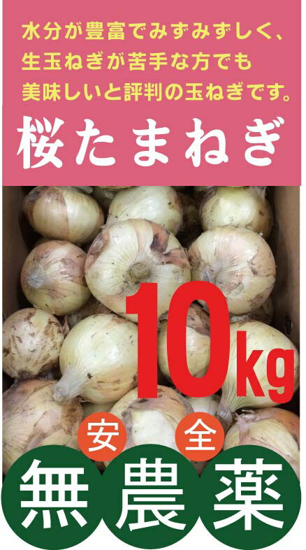 無農薬玉ねぎ 桜たまねぎ 10kg★水の子会(熊本県八代郡)(無農薬・無添加)