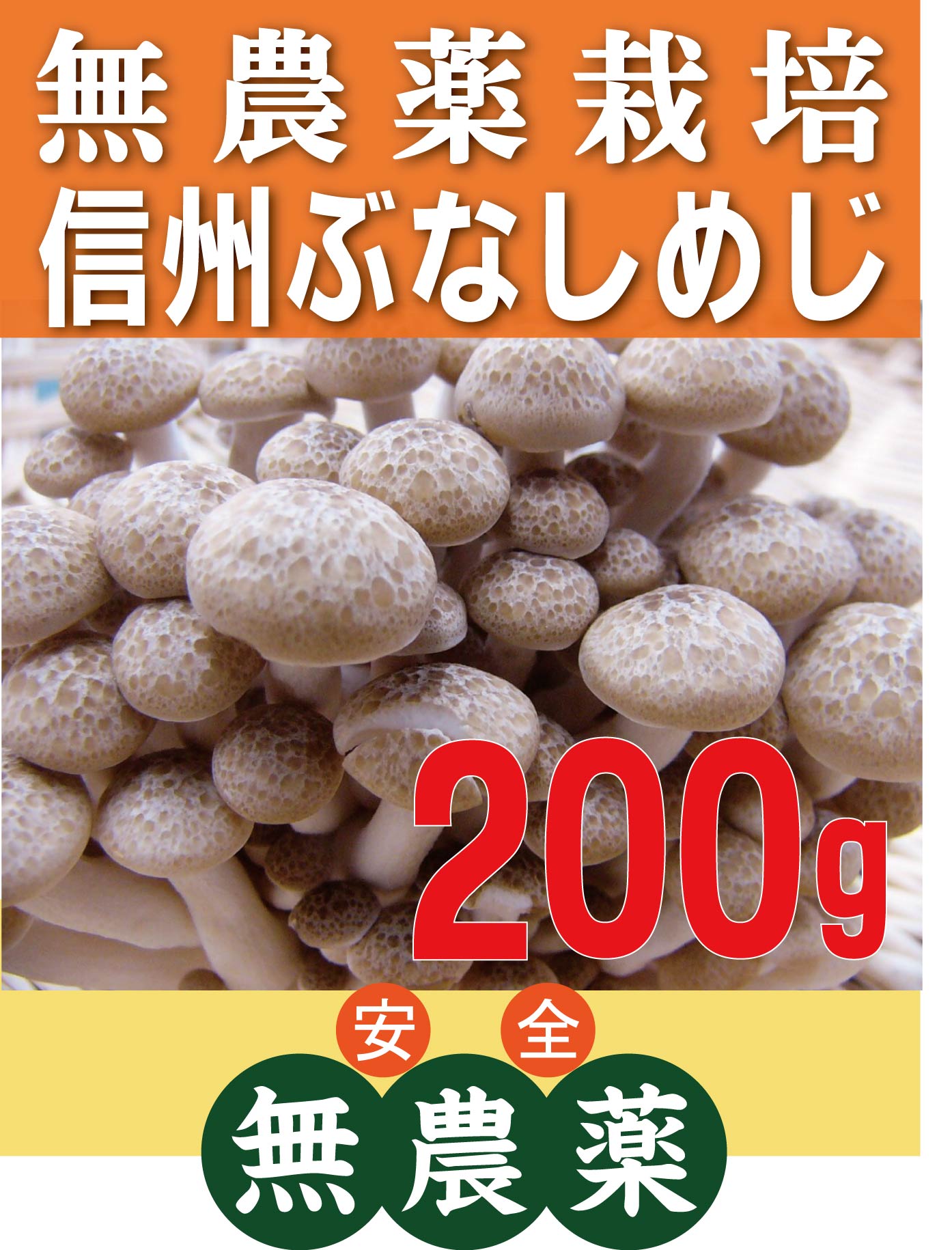 無農薬ぶなしめじ信州ぶなしめじ　200gパック★長野産（無農薬・無添加）★国内の木材からのおが粉と米ぬか床で栽培