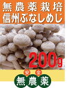 無農薬ぶなしめじ信州ぶなしめじ 200gパック★長野産(無農薬・無添加)★国内の木材からのおが粉と米ぬか床で栽培