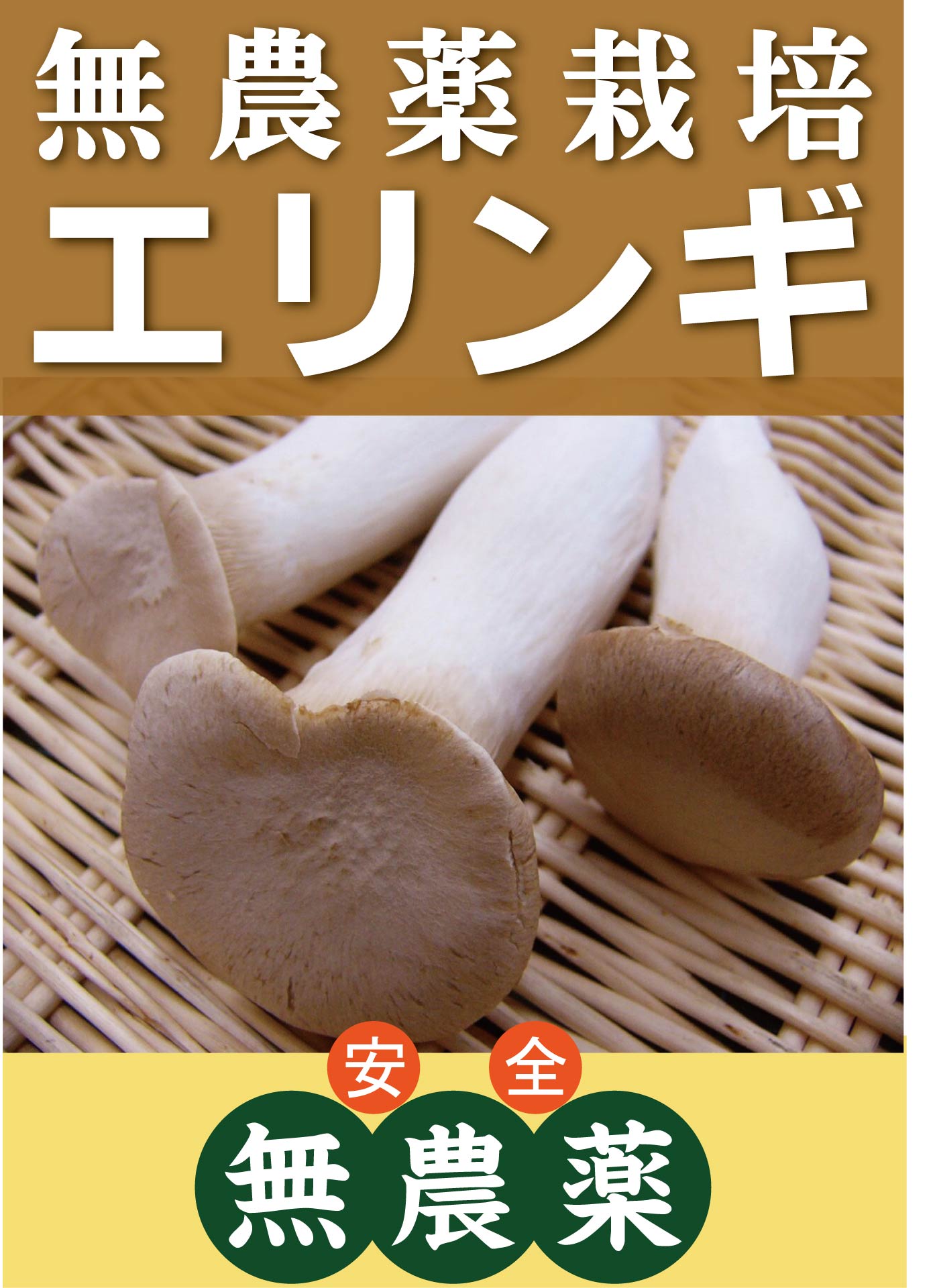 全国お取り寄せグルメ食品ランキング[きのこ(61～90位)]第61位