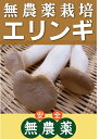 広島県、香川県産他　エリンギ（100g）