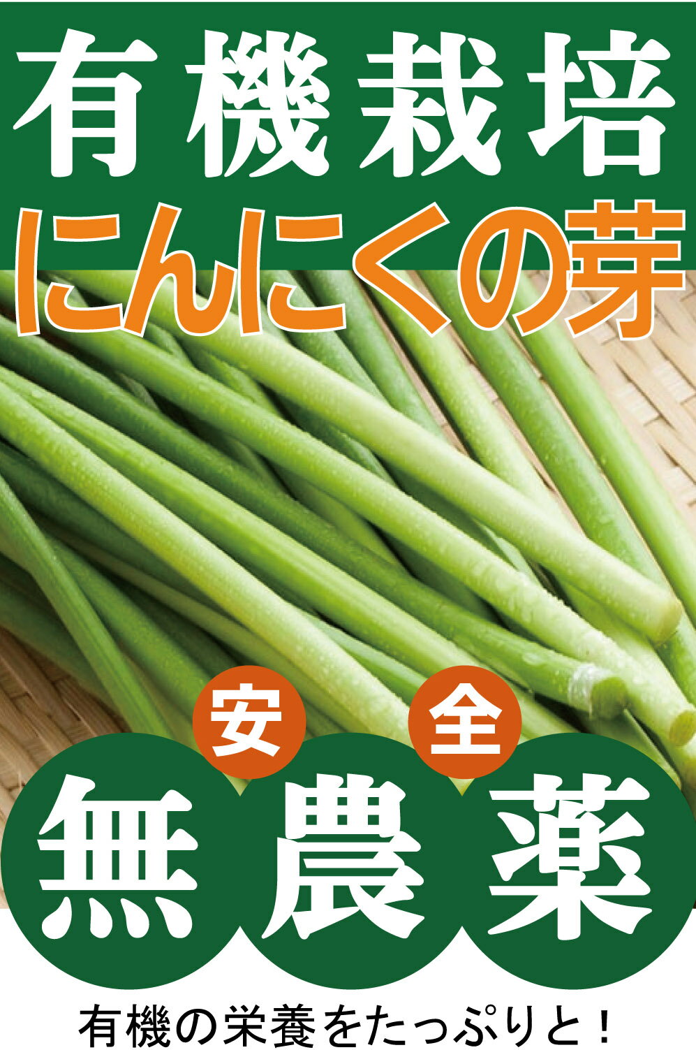 有機にんにくの芽 60g×1パック★有機JAS（無農薬・無添加）★千葉県産★にんにく鱗片（球根部分）よりアリシンや栄養が豊富です。のサムネイル