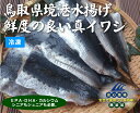 無添加　真イワシ開き＜冷凍＞約240g（約6枚入り）★クール冷凍便★鳥取県境港水揚げ真イワシ★水揚げ後、開きにし、シングルフローズンで真空凍結。青々とした皮は鮮度が良い証拠です。