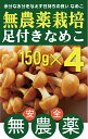 ◎生産者：有限会社原生林　窪田　晴久（長野県長野市篠ノ井小松原）農薬0回・化肥0回 長野市の南部にある篠ノ井地区の産地で作られたなめこです。なめこの培地はなめこの栽培に合うように生産者独自の栄養源・オガ粉のバランスを考え仕込みを行っております。なめこのねばねばの元となっているのが水溶性食物繊維のペクチンです。ペクチンは食べ物に含まれている糖質や脂質の吸収を穏やかにする働きがあり、血糖値や血中脂質の上昇を抑えてくれる効果が期待されています。 お野菜の発送は月曜日と金曜日のみとなりますのでご了承ください。