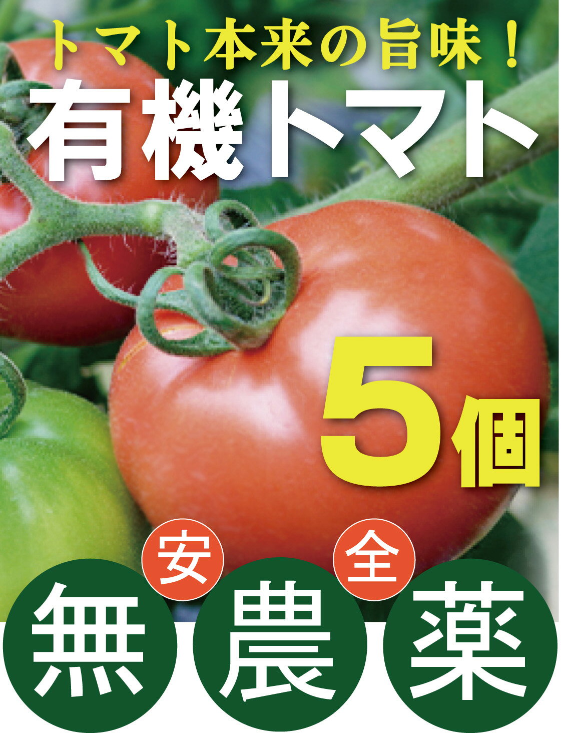 九州野菜無農薬・無化成肥料有機JASトマト4kg