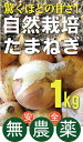 自然栽培たまねぎ1kg★無農薬・無添加★兵庫県産★驚くほどの甘さ!