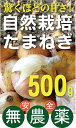 自然栽培たまねぎ500g★無農薬・無添加★兵庫県産★驚くほどの甘さ!