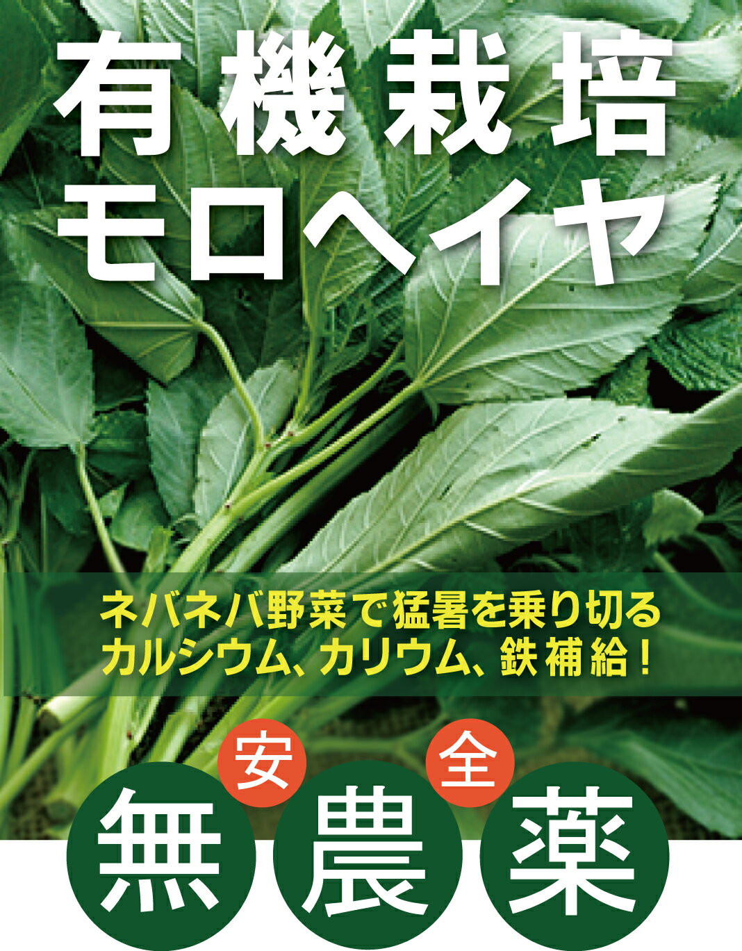 有機モロヘイヤ100g×1パック★有機JAS（無農薬・無添加）★千葉県産有機栽培モロヘイヤのサムネイル