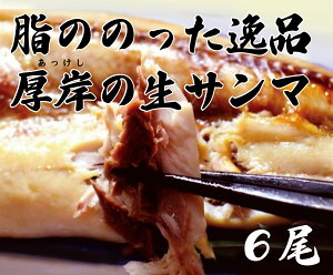 北海道厚岸産　生さんま　あっけしサンマ＜冷凍＞3尾×2パック★クール冷凍便★送料無料★厚岸（あっけし）のサンマ。冷蔵庫にて解凍して焼いて下さい。