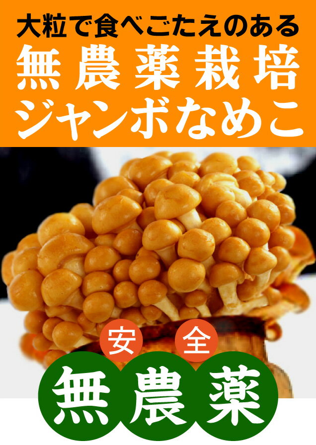 全国お取り寄せグルメ食品ランキング[きのこ(61～90位)]第63位